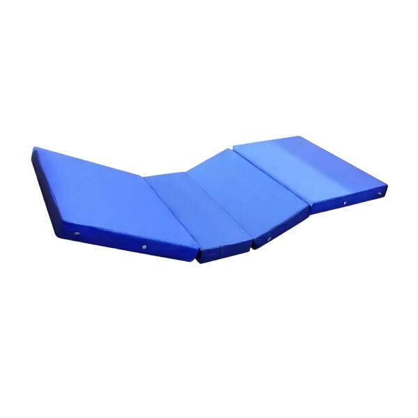 Three Functions Electric Bed